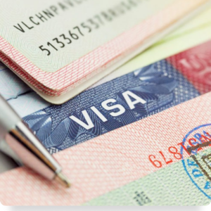 visa-status